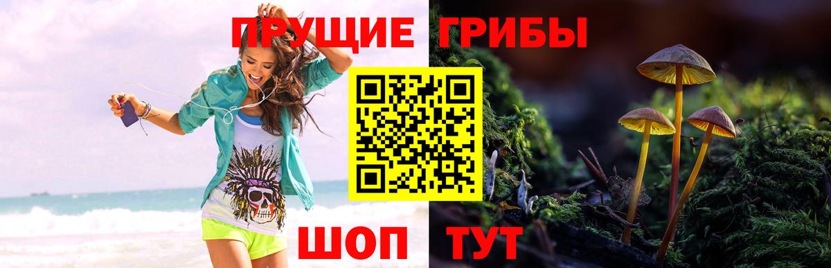 Псилоцибиновые грибы ЛСД Егорьевск